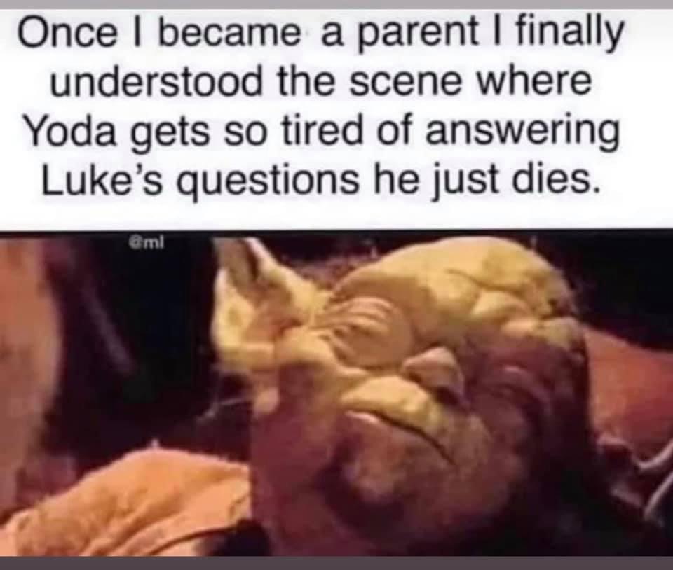 now that i have children i really understand the scene in return of the jedi - Once I became a parent I finally understood the scene where Yoda gets so tired of answering Luke's questions he just dies.