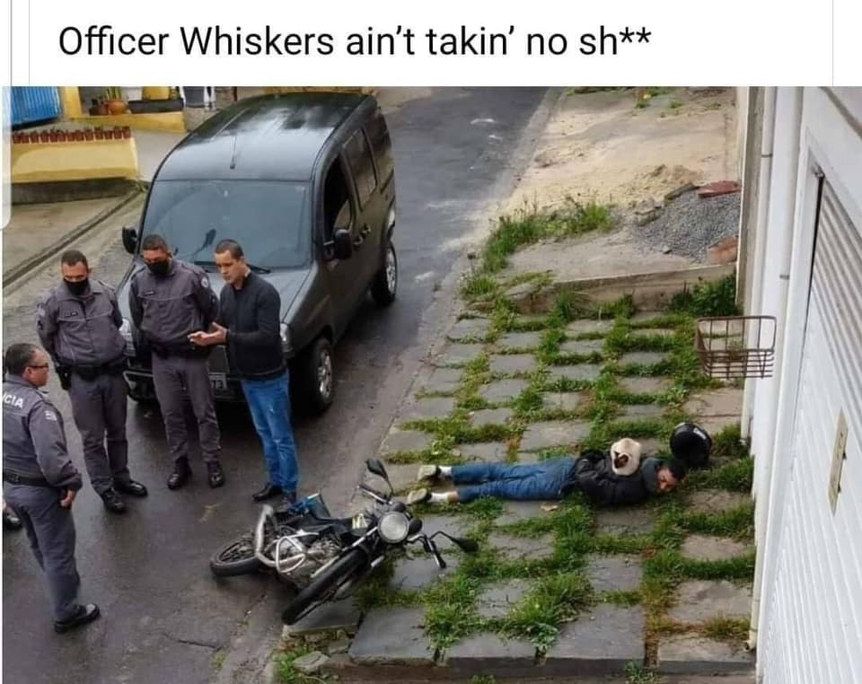 car - Officer Whiskers ain't takin' no sh Cia