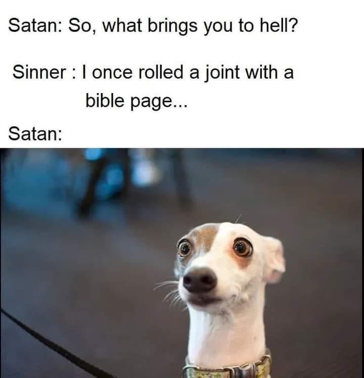 Satan So, what brings you to hell? Sinner I once rolled a joint with a bible page... Satan