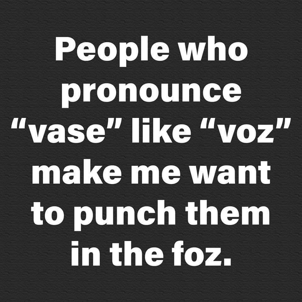 angle - People who pronounce "vase" voz" make me want to punch them in the foz.