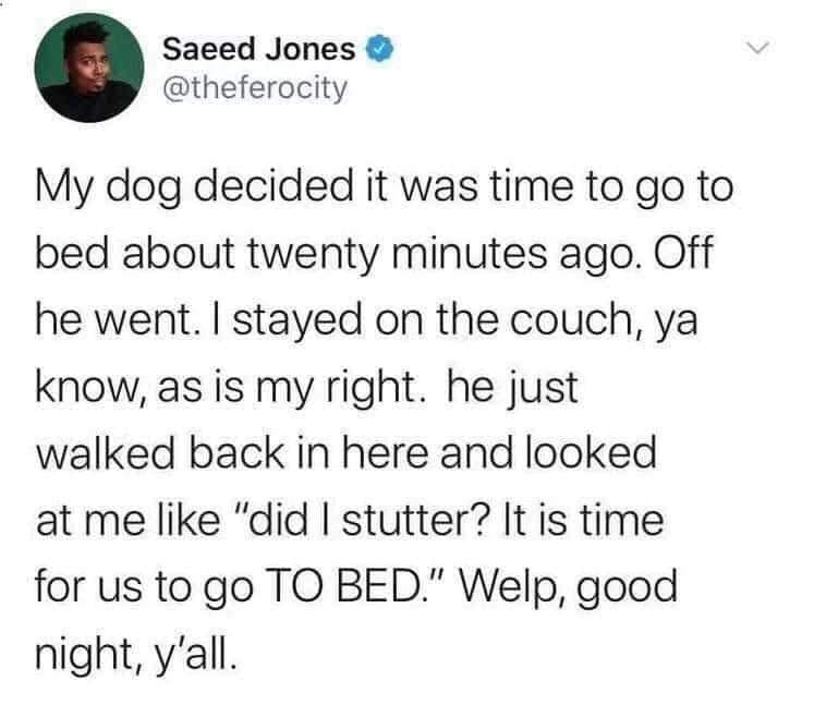 marry the funny one - Saeed Jones My dog decided it was time to go to bed about twenty minutes ago. Off he went. I stayed on the couch, ya know, as is my right. he just walked back in here and looked at me "did I stutter? It is time for us to go To Bed." 