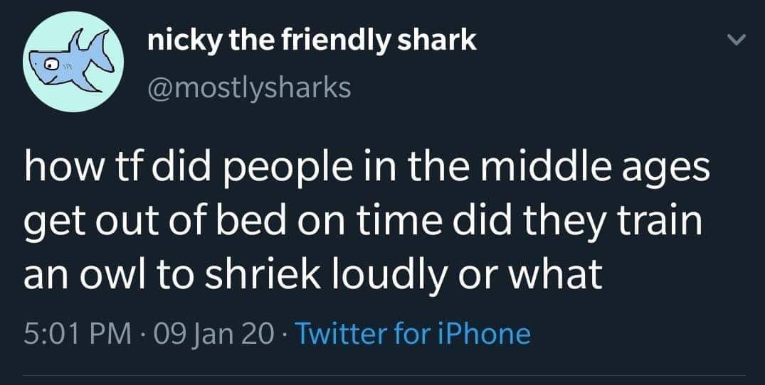 sky - nicky the friendly shark how tf did people in the middle ages get out of bed on time did they train an owl to shriek loudly or what 09 Jan 20. Twitter for iPhone