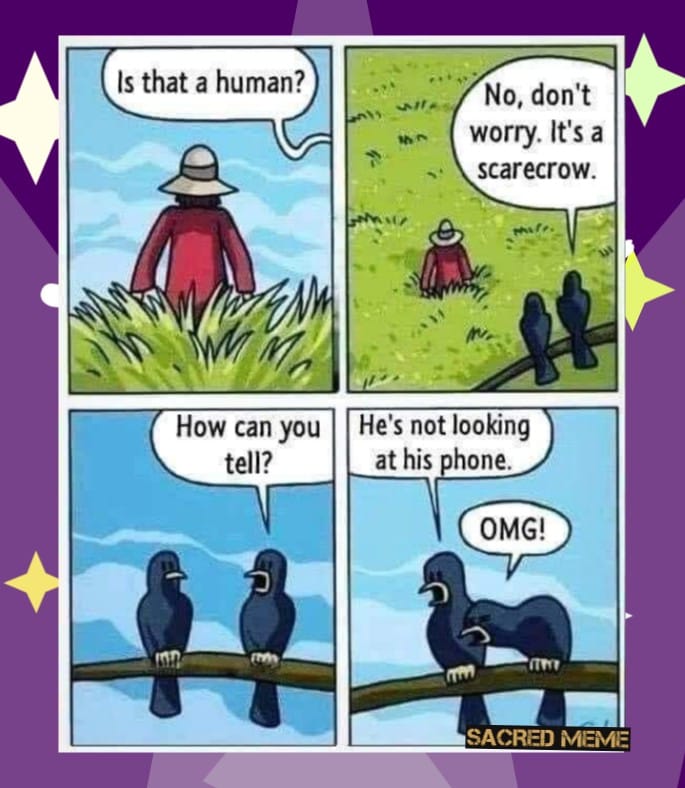 human no don t worry - Is that a human? No, don't worry. It's a scarecrow. am How can you He's not looking tell? at his phone. Omg! Ttt Sacred Meme