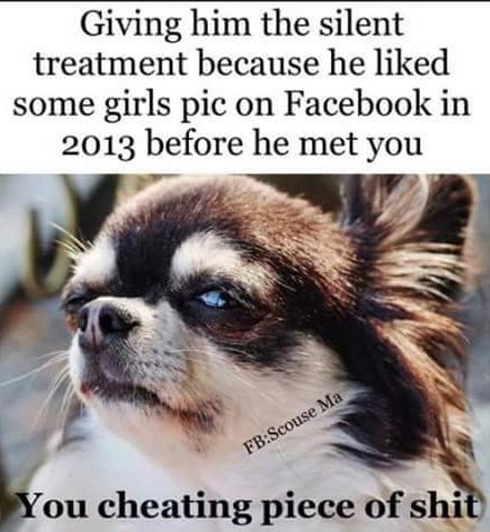 dog - Giving him the silent treatment because he d some girls pic on Facebook in 2013 before he met you FbScouse Ma You cheating piece of shit