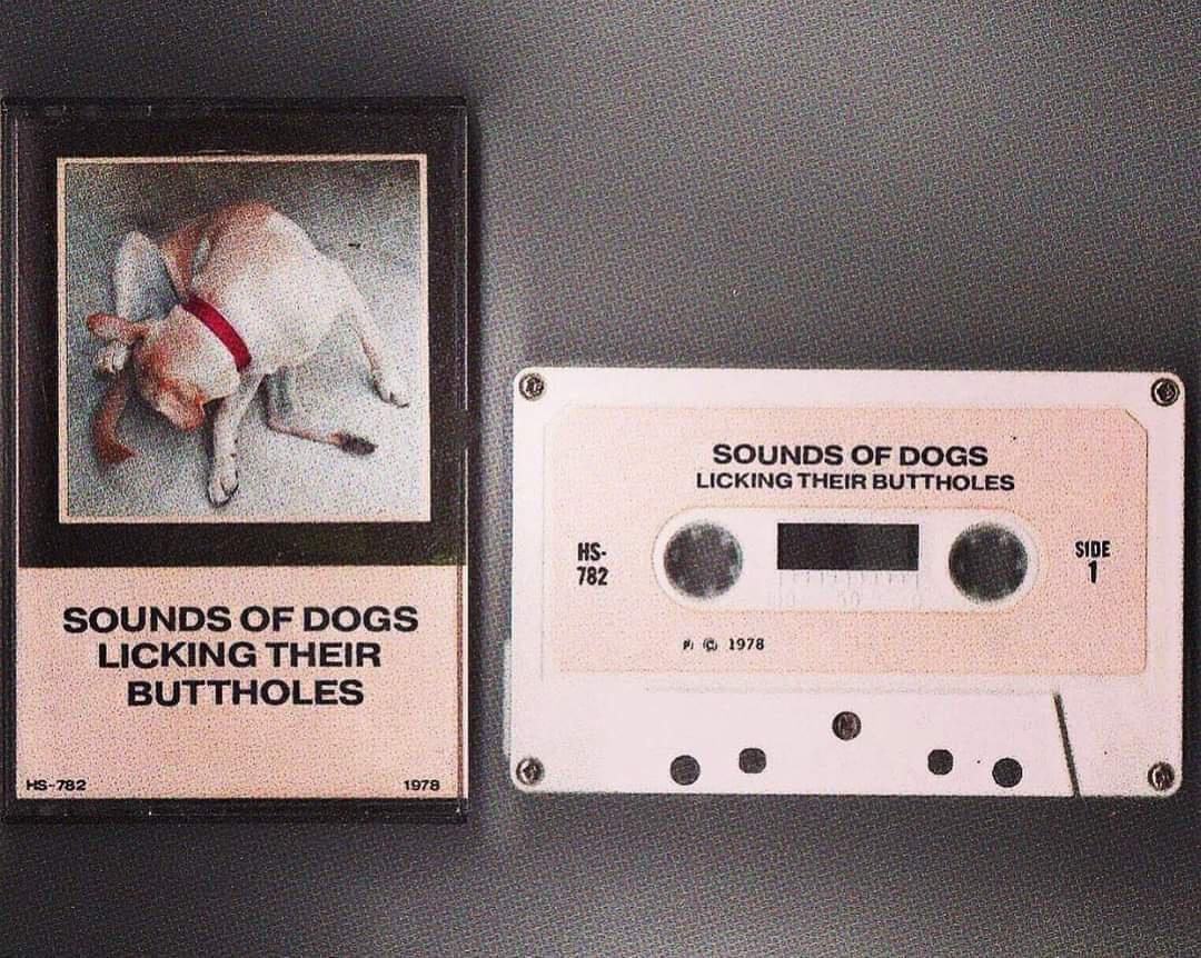 Sounds Of Dogs Licking Their Buttholes