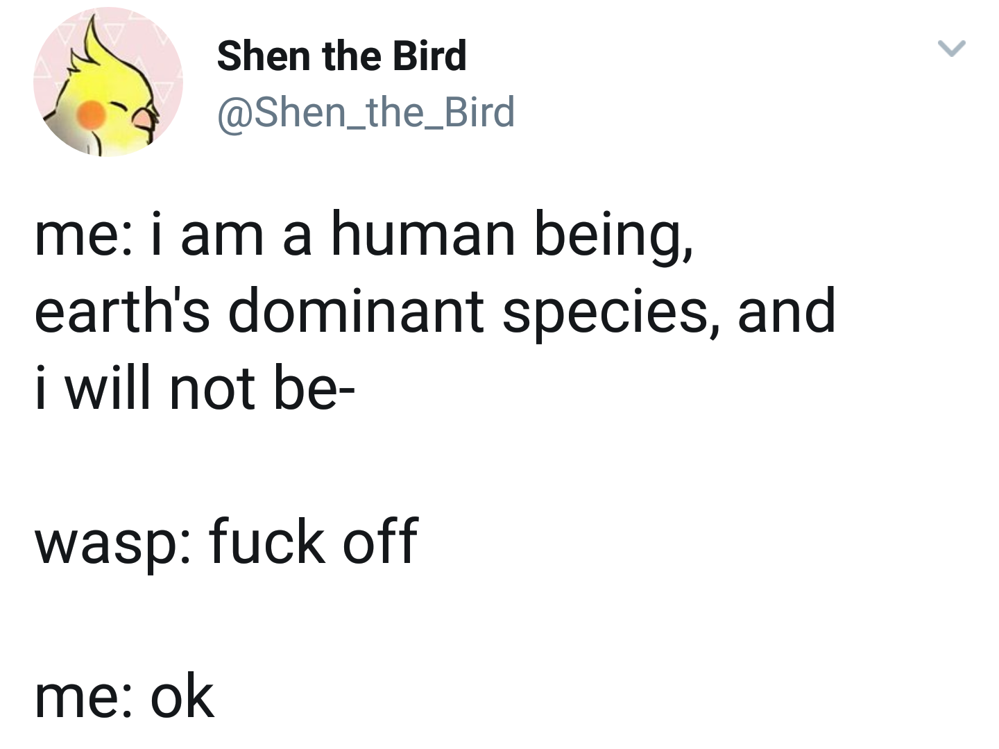 wasp fuck off meme - Shen the Bird me i am a human being, earth's dominant species, and i will not be wasp fuck off me ok