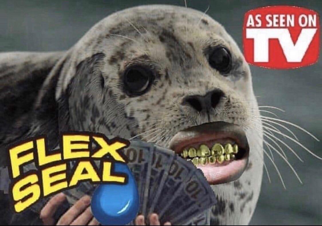 flexing seal - As Seen On Tv Flex Ho Seal Olopo