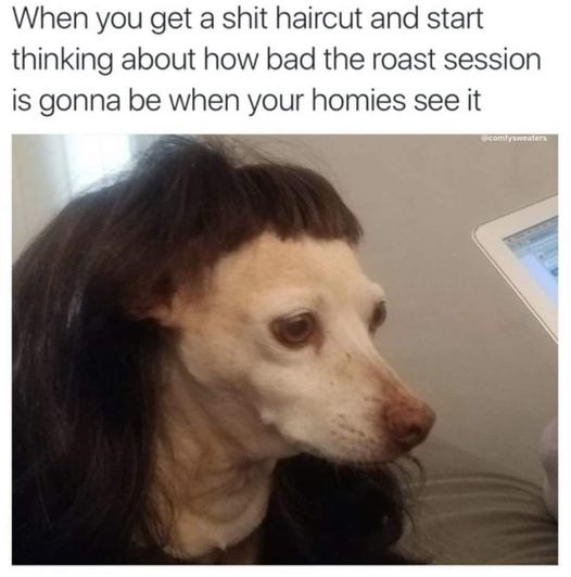 you get a bad haircut meme - When you get a shit haircut and start thinking about how bad the roast session is gonna be when your homies see it