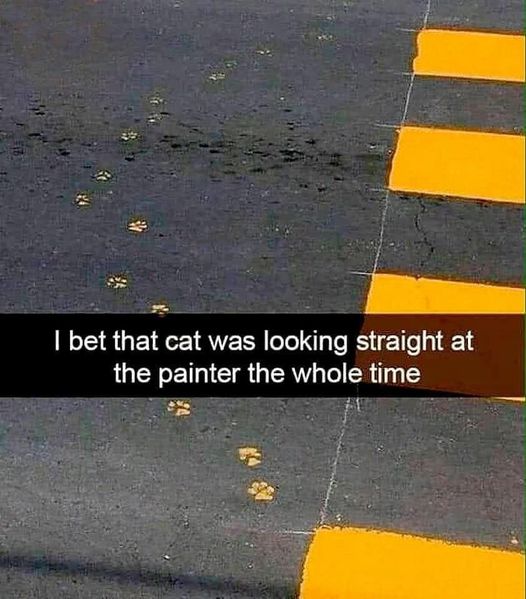 Cat - I bet that cat was looking straight at the painter the whole time