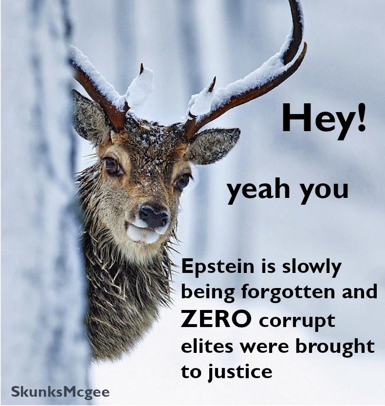 epstein deer - Hey! yeah you Epstein is slowly being forgotten and Zero corrupt elites were brought to justice SkunksMcgee