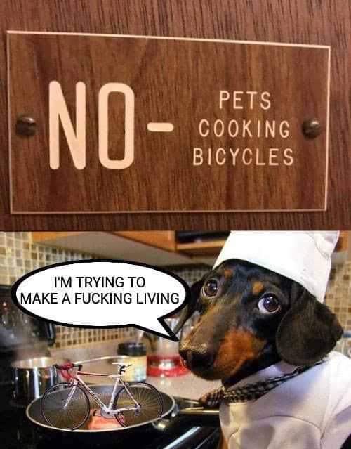 dachshund grilling - No Pets Cooking Bicycles I'M Trying To Make A Fucking Living