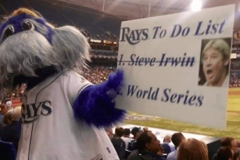 tampa bay rays steve irwin - Rays. To Do List 1. Steve Irwin World Series Mys