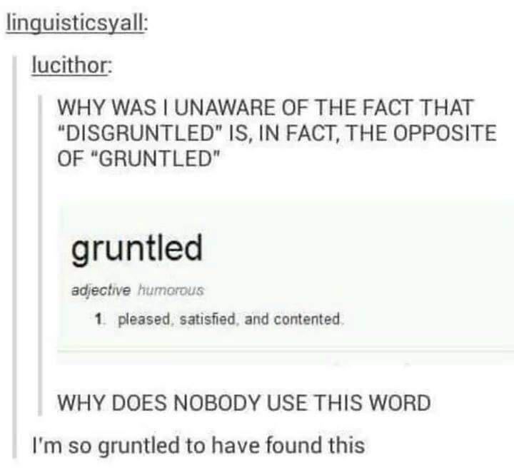 paper - linguisticsyall lucithor Why Was I Unaware Of The Fact That "Disgruntled" Is, In Fact, The Opposite Of "Gruntled" gruntled adjective humorous 1 pleased, satisfied and contented. Why Does Nobody Use This Word I'm so gruntled to have found this