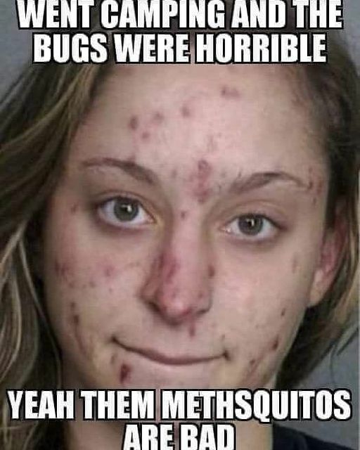 thats methed up meme - Went Camping And The Bugs Were Horrible Yeah Them Methsquitos Are Bad