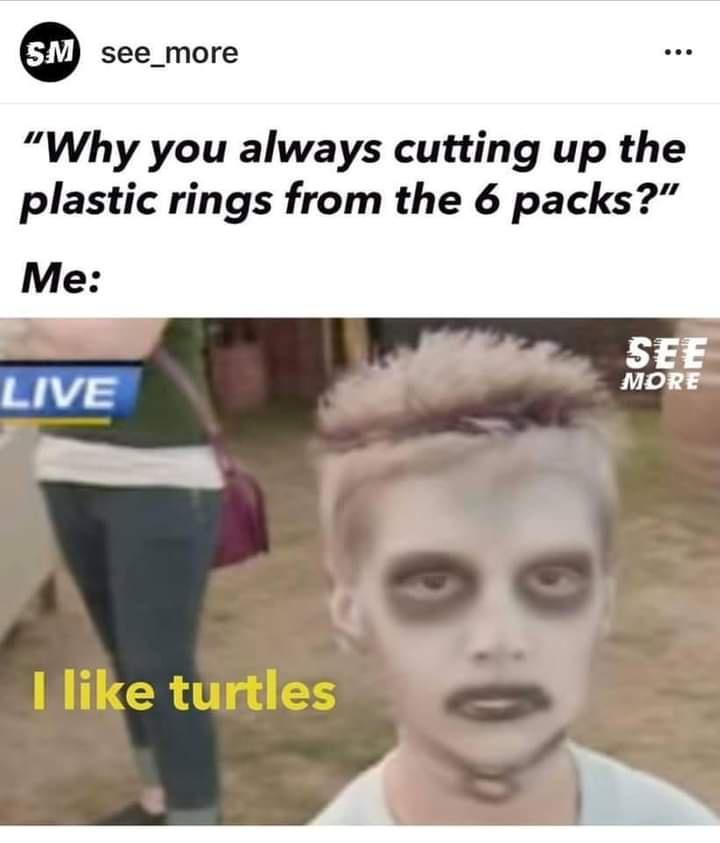 like turtles meme - Sm see_more "Why you always cutting up the plastic rings from the 6 packs?" Me See More Live I turtles