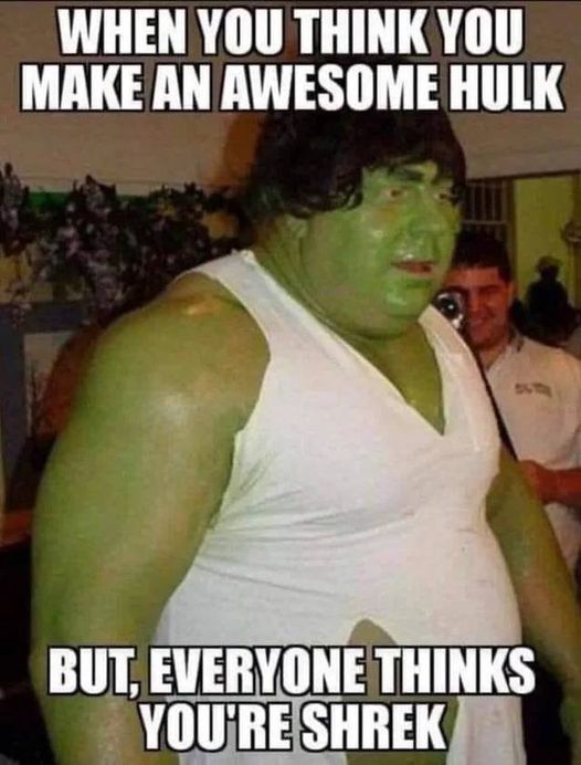 hulk shrek meme - When You Think You Make An Awesome Hulk But Everyone Thinks You'Re Shrek