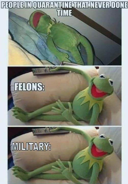 felons quarantine meme - People In Quarantine That Never Done Time Felons Military