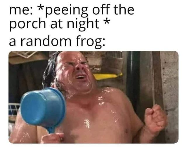 muscle - me peeing off the porch at night a random frog