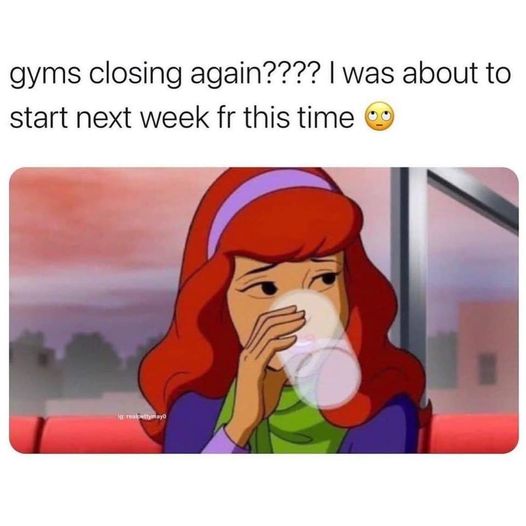 zootopia furries meme - gyms closing again???? I was about to start next week fr this time