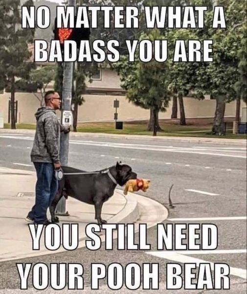 badass pooh bear - No Matter What A Badass You Are You Still Need Your Pooh Bear