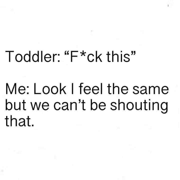 angle - Toddler "Fck this" Me Look I feel the same but we can't be shouting that.