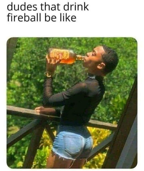 dudes that drink fireball meme - dudes that drink fireball be