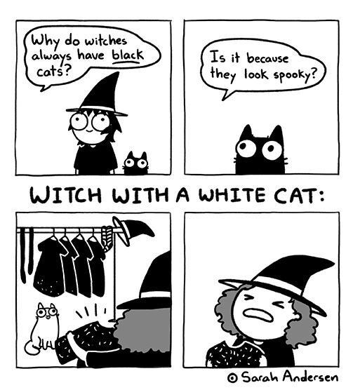 sarah andersen cat - Why do witches always have black cats? Is it because they look spooky? Witch With A White Cat Ora il &ur o Sarah Andersen