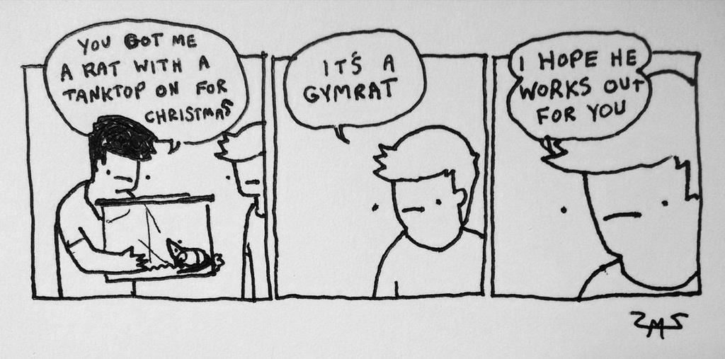 gym rat comic - You Got Me A Rat With A Tanktop On For Christmas It'S A Gymrat Hope He Works Out For You F1 Zas
