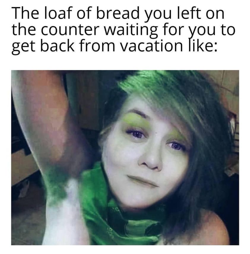 head - The loaf of bread you left on the counter waiting for you to get back from vacation