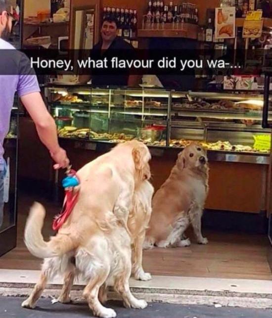 funny snapchat memes - Honey, what flavour did you wa.