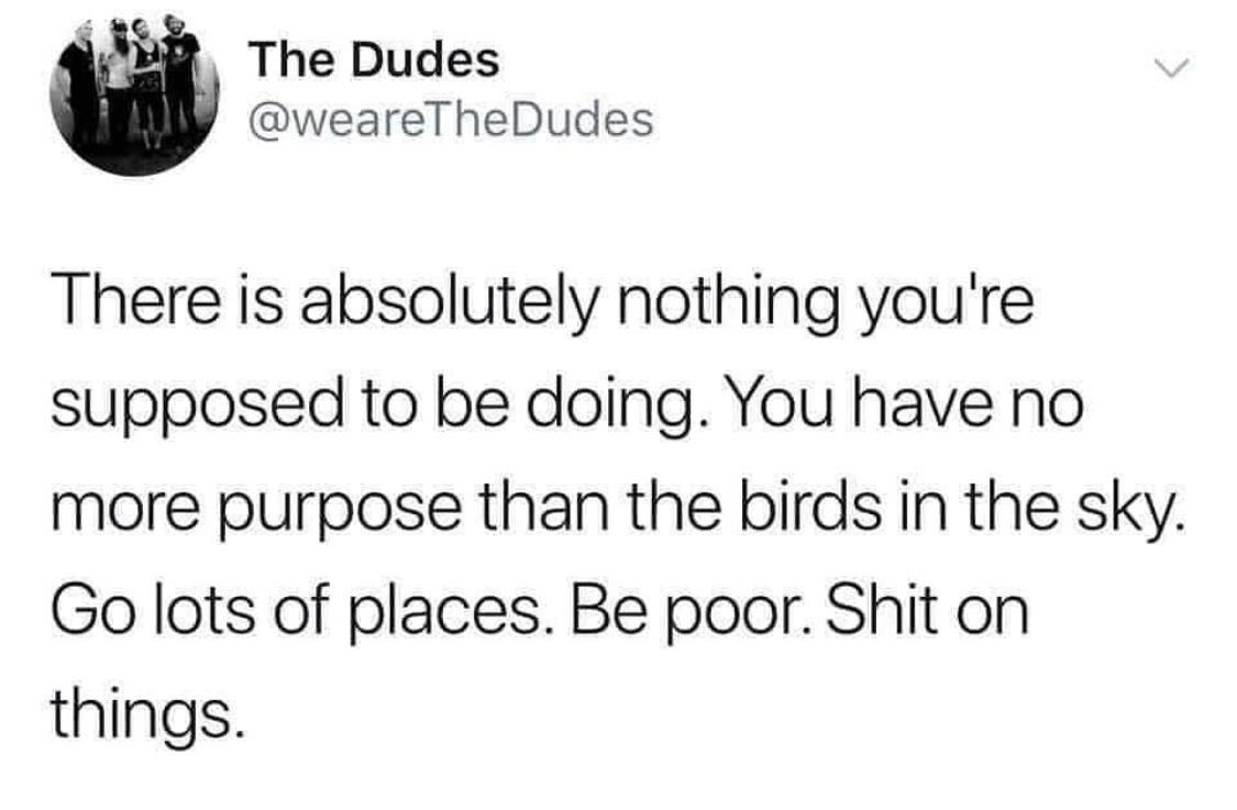 stay at home mom covid meme - The Dudes There is absolutely nothing you're supposed to be doing. You have no more purpose than the birds in the sky. Go lots of places. Be poor. Shit on things.