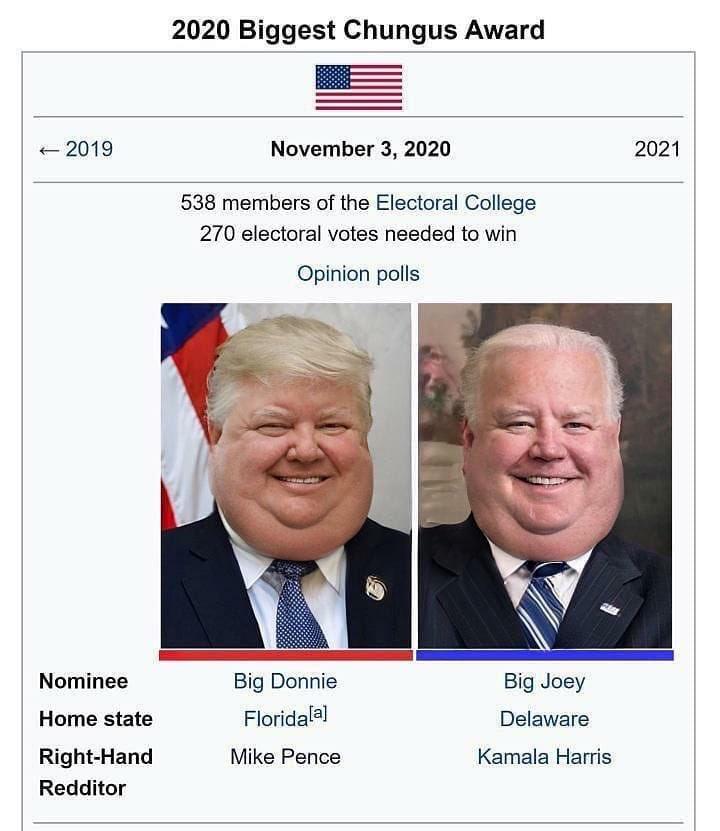 trump vs biden election parodies - 2020 Biggest Chungus Award 2021 538 members of the Electoral College 270 electoral votes needed to win Opinion polls Nominee Big Joey Big Donnie Floridaa Home state Delaware Mike Pence Kamala Harris RightHand Redditor