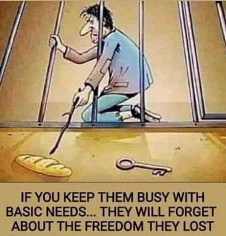 keep him busy with his basic needs - If You Keep Them Busy With Basic Needs... They Will Forget About The Freedom They Lost