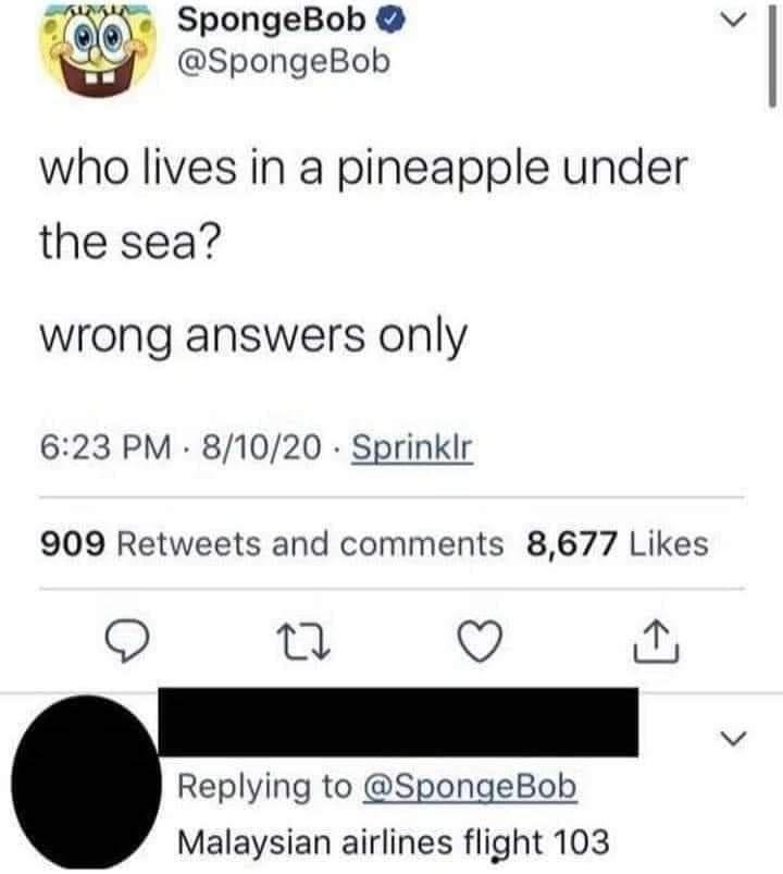 lives in a pineapple under the sea wrong answers only - Inal SpongeBob who lives in a pineapple under the sea? wrong answers only 81020. Sprinklr 909 and 8,677 Malaysian airlines flight 103