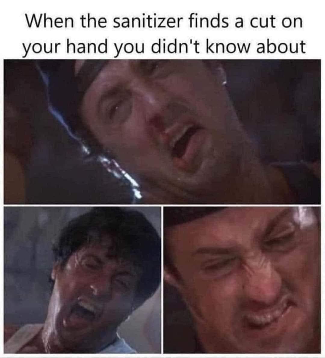 sylvester stallone meme template - When the sanitizer finds a cut on your hand you didn't know about