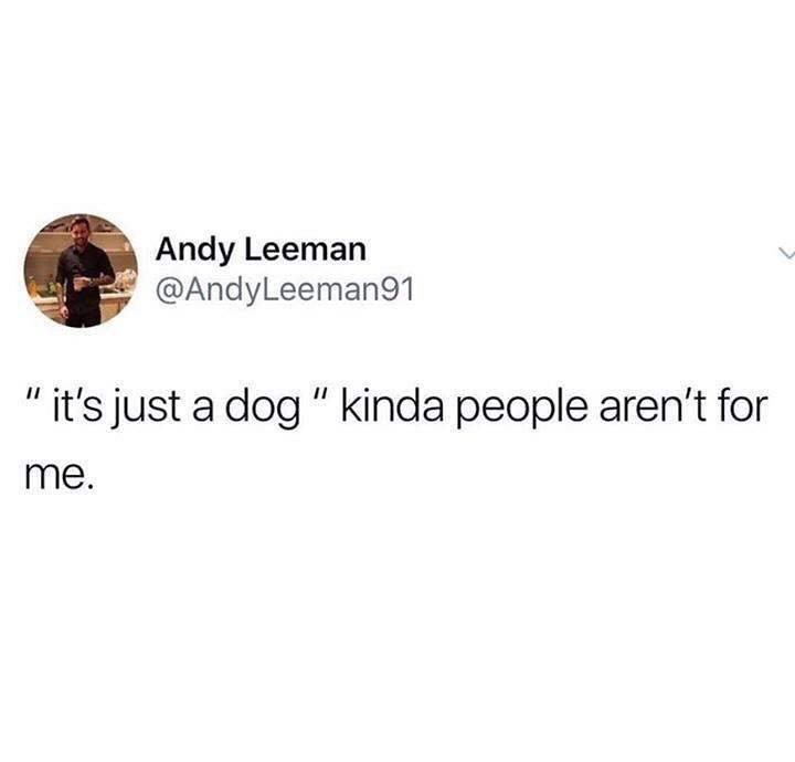 Andy Leeman "it's just a dog' kinda people aren't for me.