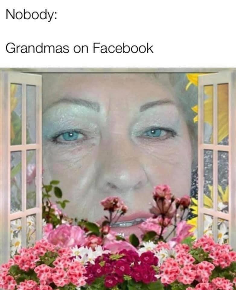 grandmas on facebook meme - Nobody Grandmas on Facebook