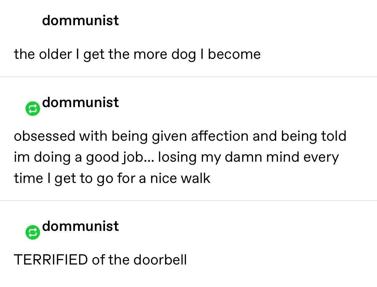 angle - dommunist the older I get the more dog I become dommunist obsessed with being given affection and being told im doing a good job... losing my damn mind every time I get to go for a nice walk dommunist Terrified of the doorbell