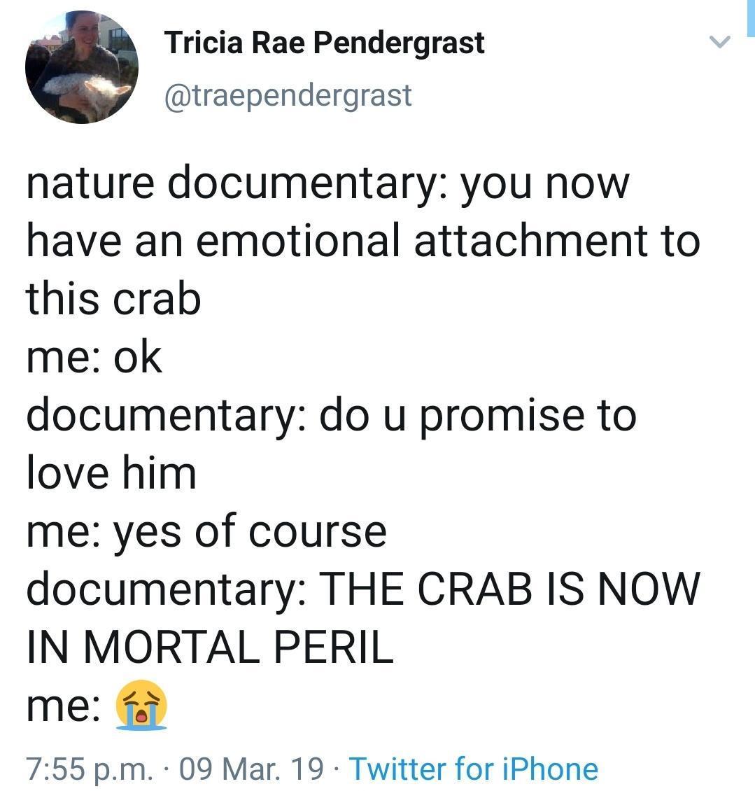 angle - Tricia Rae Pendergrast nature documentary you now have an emotional attachment to this crab me ok documentary do u promise to love him me yes of course documentary The Crab Is Now In Mortal Peril me fi p.m. 09 Mar. 19. Twitter for iPhone