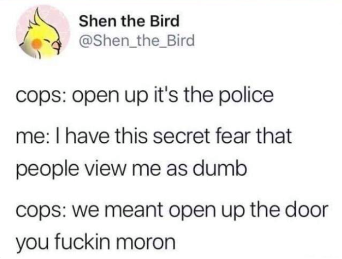 paper - Shen the Bird cops open up it's the police me I have this secret fear that people view me as dumb cops we meant open up the door you fuckin moron