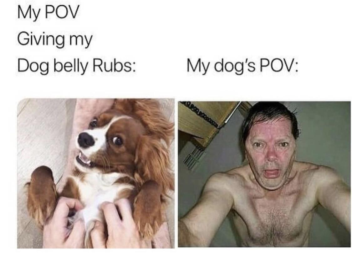 my dogs pov - My Pov Giving my Dog belly Rubs My dog's Pov