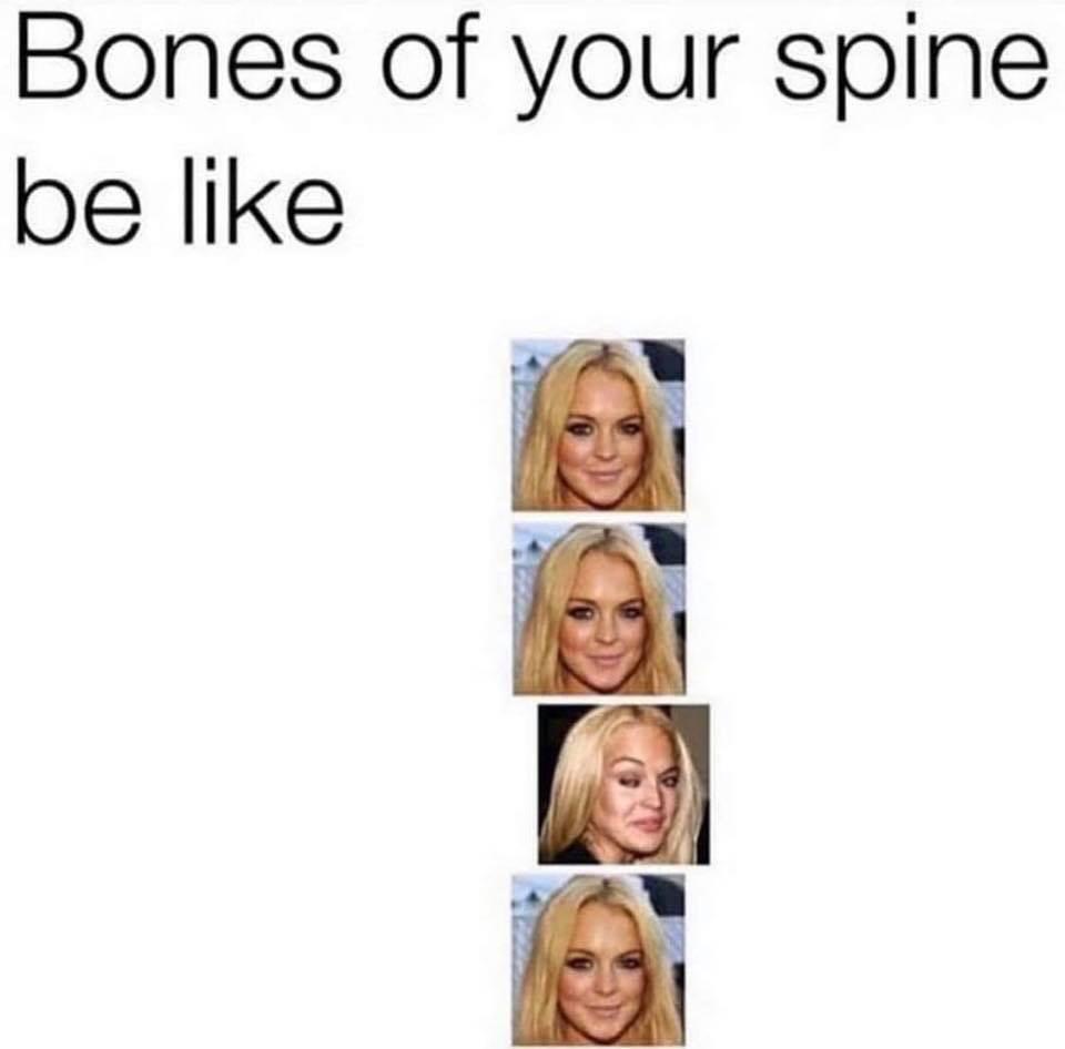 bones of your spine be like - Bones of your spine be