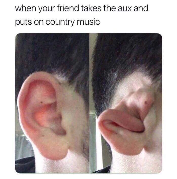 country music meme - when your friend takes the aux and puts on country music