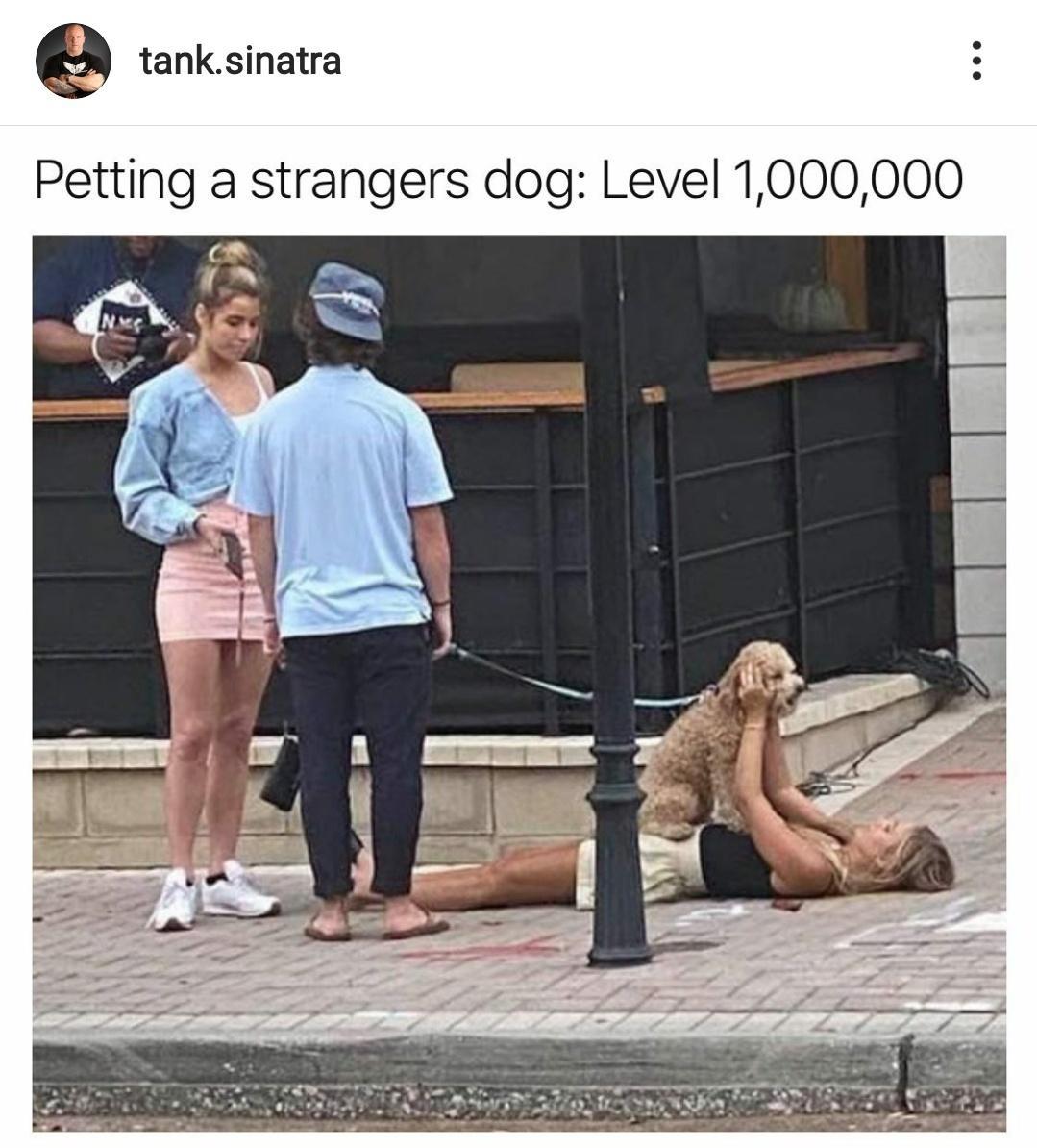 photo caption - tank.sinatra Petting a strangers dog Level 1,000,000 Nye