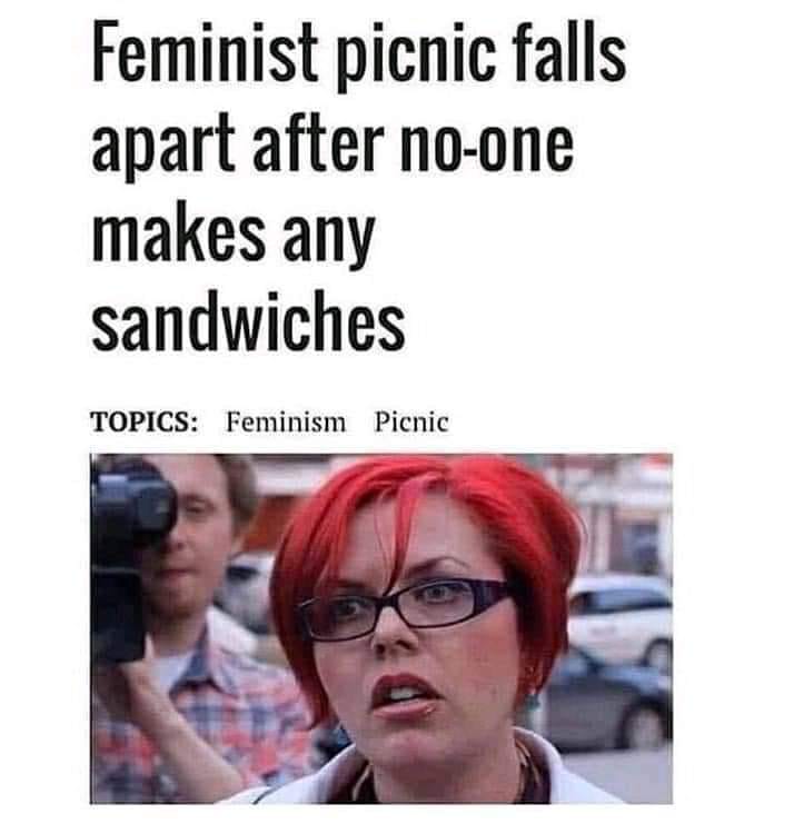 feminist picnic meme - Feminist picnic falls apart after noone makes any sandwiches Topics Feminism Picnic