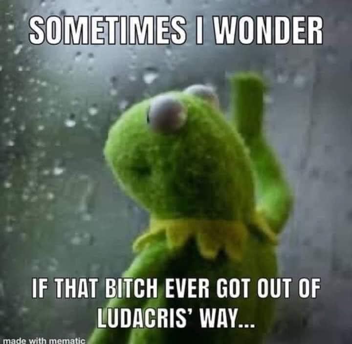 sad kermit window - Sometimes I Wonder If That Bitch Ever Got Out Of Ludacris' Way... made with mematic