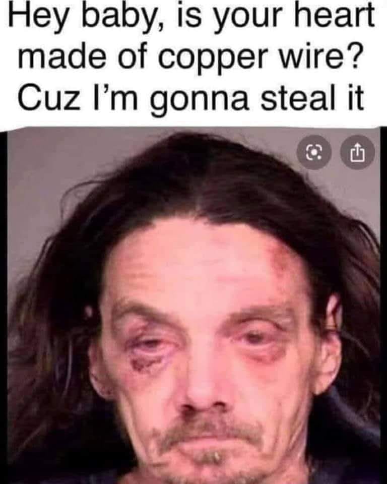 person - Hey baby, is your heart made of copper wire? Cuz I'm gonna steal it
