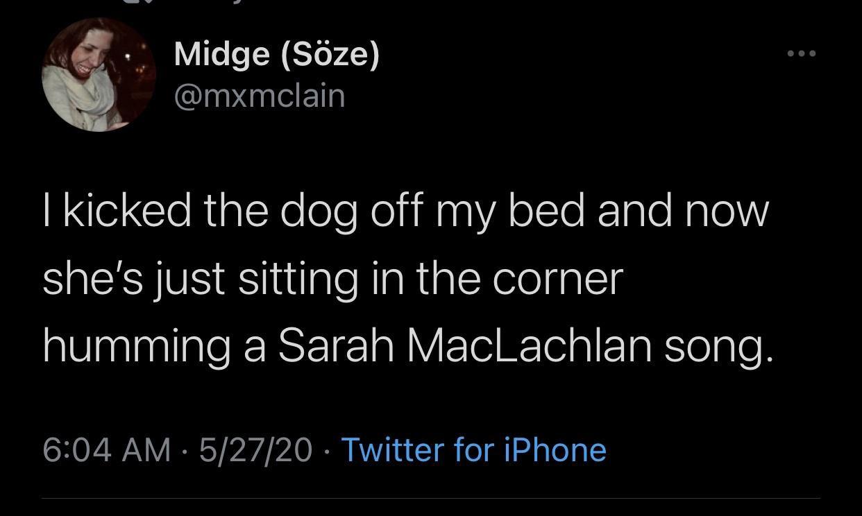 man bun quarantine - Midge Sze I kicked the dog off my bed and now she's just sitting in the corner humming a Sarah MacLachlan song. 52720 Twitter for iPhone