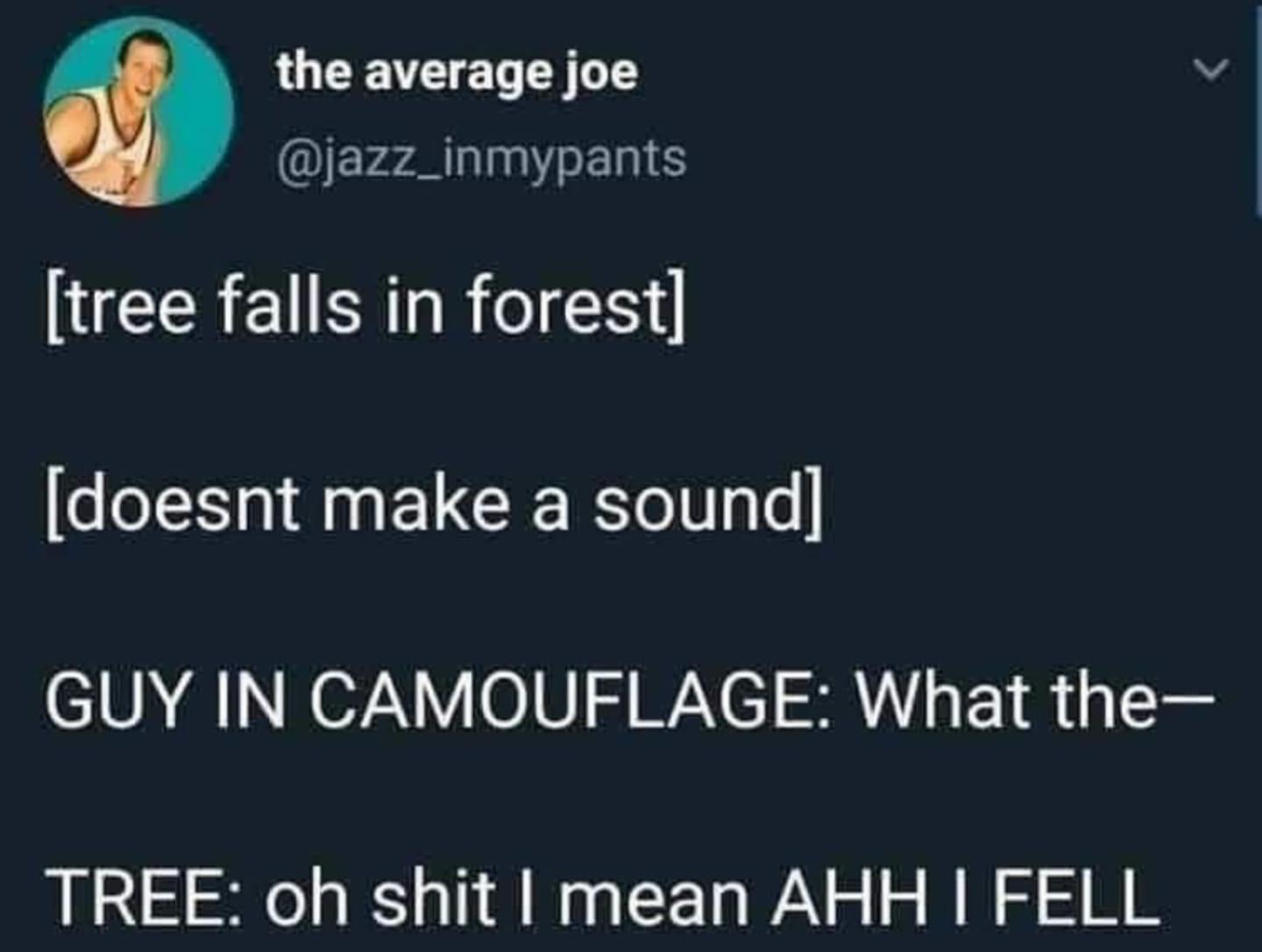 presentation - the average joe tree falls in forest doesnt make a sound Guy In Camouflage What the Tree oh shit I mean Ahh I Fell