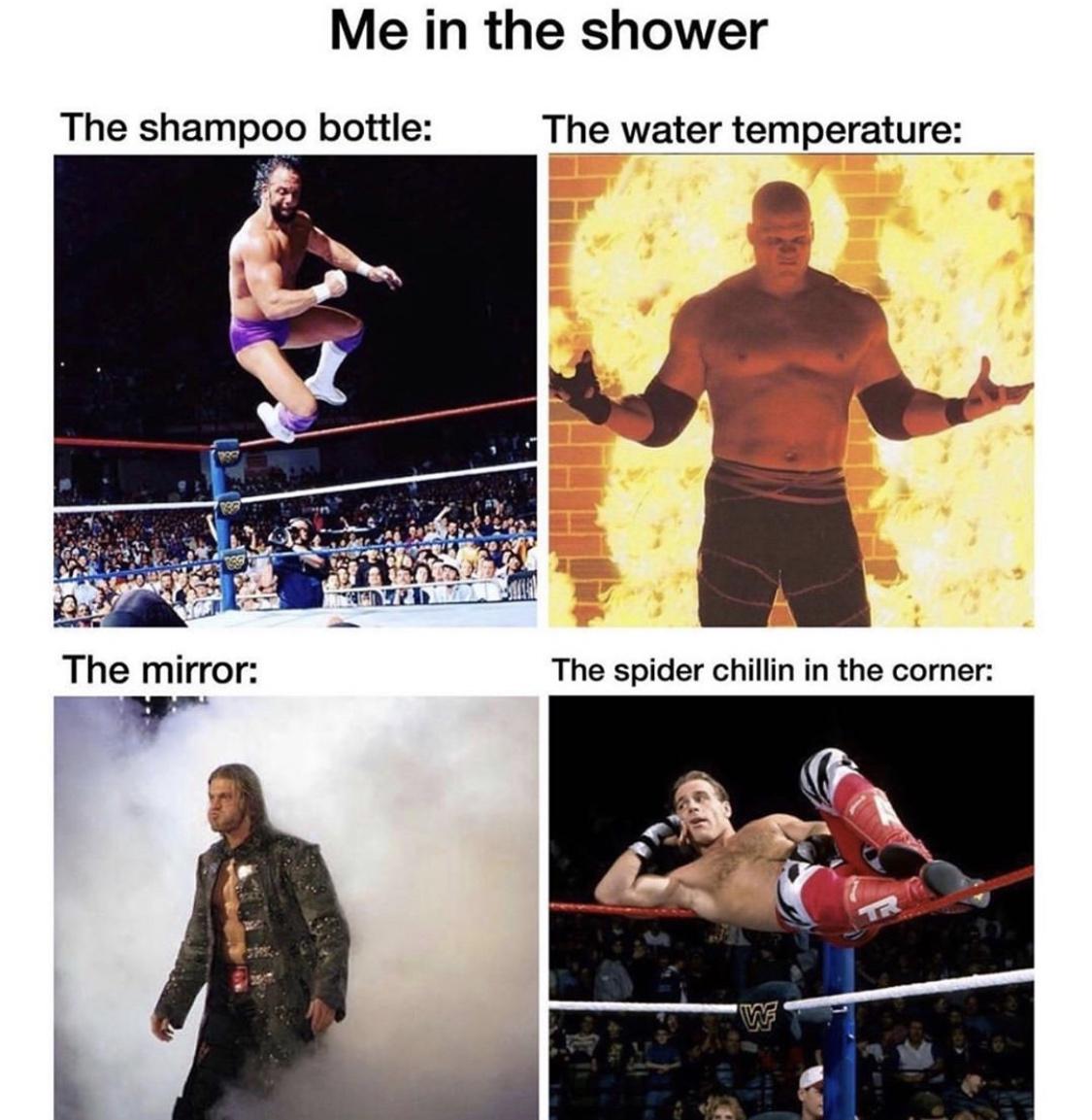 wrestling memes - Me in the shower The shampoo bottle The water temperature The mirror The spider chillin in the corner